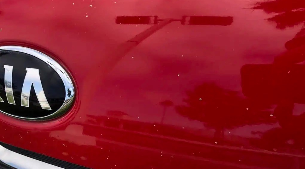 Close-up image of a red vehicle's hood featuring the Kia logo in a chrome oval emblem. Shadows of nearby objects are faintly visible on the surface, as if hinting at advanced techniques learned from PDR training in California.